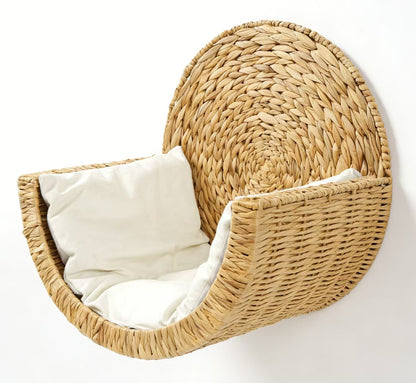 Cat Nest